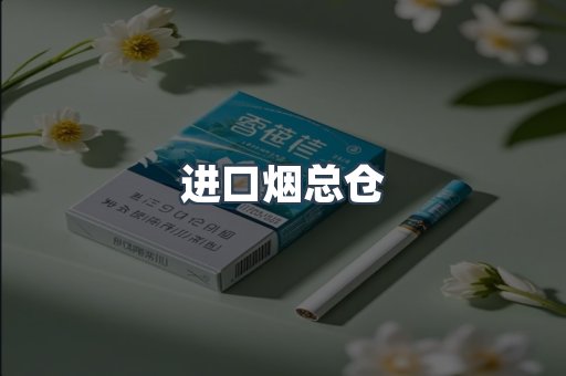 进口烟总仓